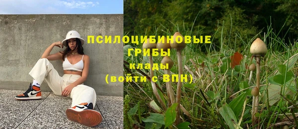 ПСИЛОЦИБИНОВЫЕ ГРИБЫ Арсеньев